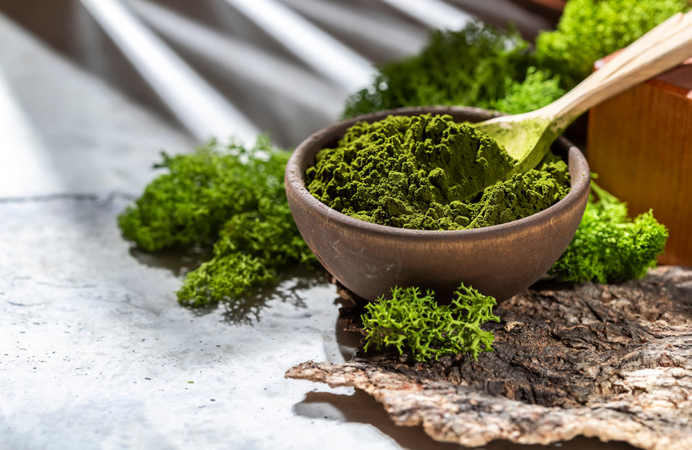 Miel Spiruline 250g