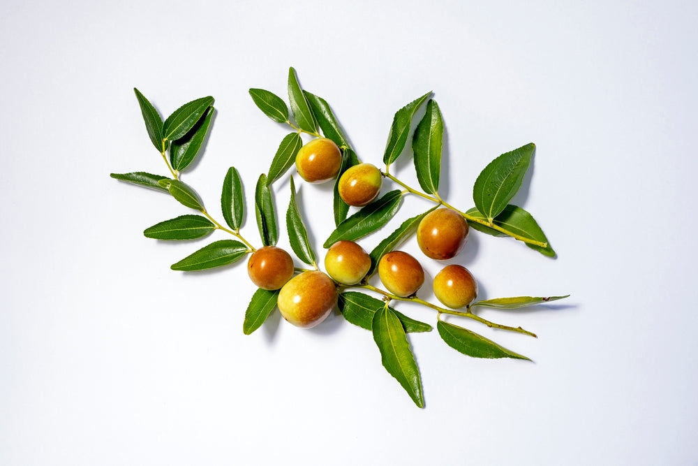 MIEL DE JUJUBIER DU PAKISTAN 150g – Miel rare de Sidr, originaire de Peshawar